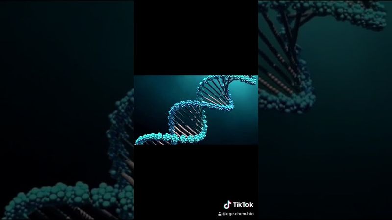 Нуклеиновые кислоты Готовимся к ЕГЭ 2021 Биология