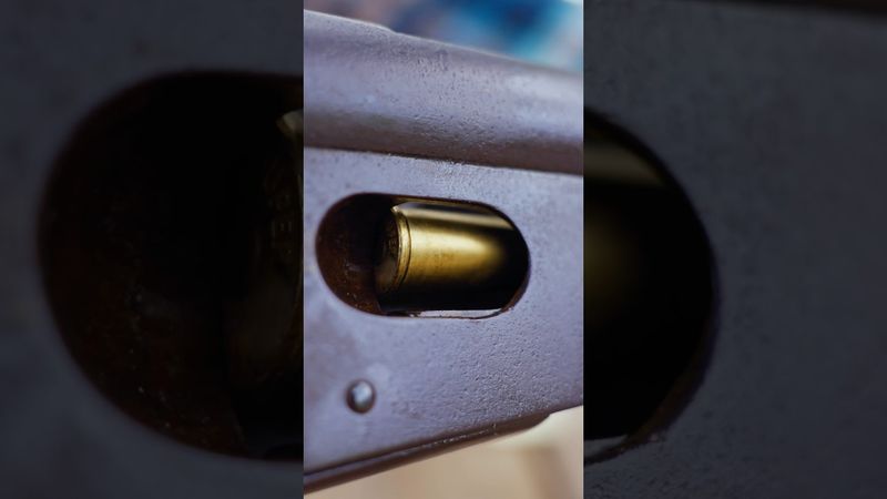 Swiss Vetterli M1878