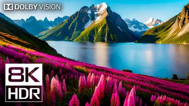 Paradise of 8K VIDEO ULTRA HD 240 FPS - Dolby Vision HDR #8K
