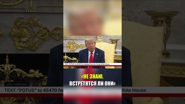 Трампа спросили о переговорах Путина и Зеленского