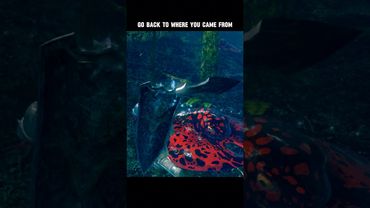 Go Back To Where You Came From #darksouls