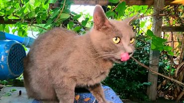 #Славянск. 20 августа 2025г. Вечер.