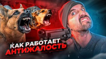 Угомонил злых собак специальной техникой / АНТИЖАЛОСТЬ