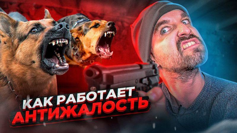 Угомонил злых собак специальной техникой / АНТИЖАЛОСТЬ
