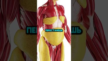 Что произойдет с вашим телом, если вы перестанете есть на 36 часов?