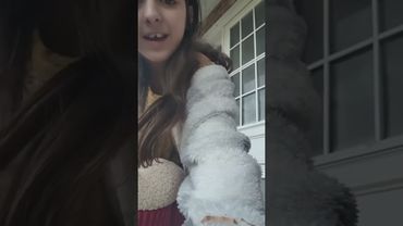 cama para mi mascota