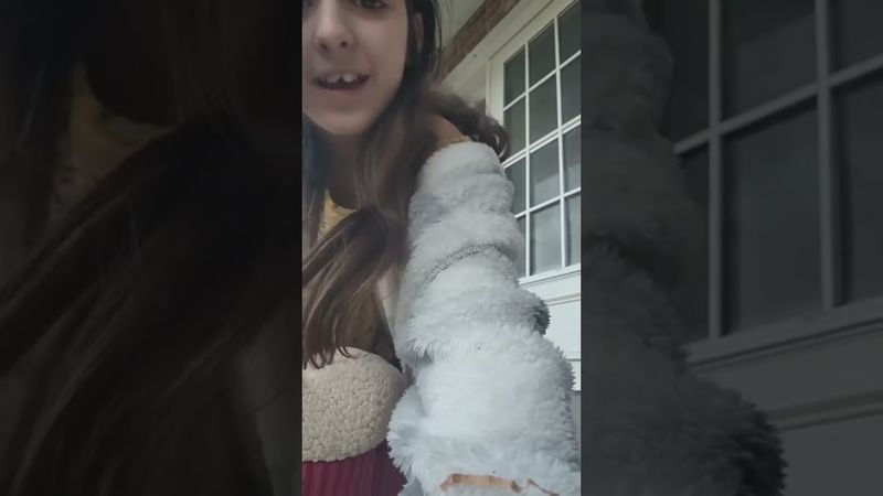 cama para mi mascota