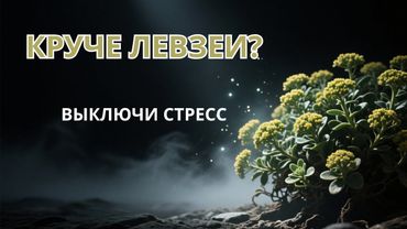 Родиола: Золотой корень выносливости. Растение, которое превращает стресс в чистое топливо.
