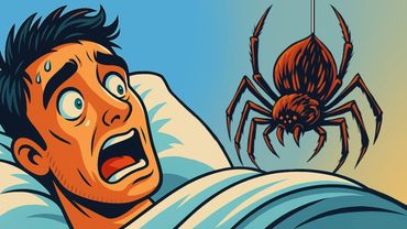 Вы лгали об этом пауке всю свою жизнь