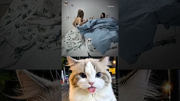 #птахтренд 🤣