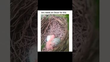 Little Bird 🐦 is going through it 😓😭😭 #acting #funny