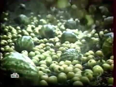 Программа передач и конец эфира (НТВ, 01.10.2003)