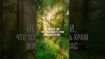 Совет дня: тело - храм