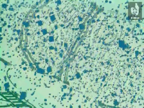 Заставка программы "Взгляд" 2000-2001