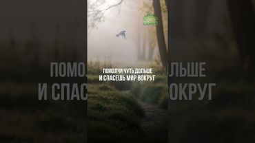 Совет дня: лучше промолчать