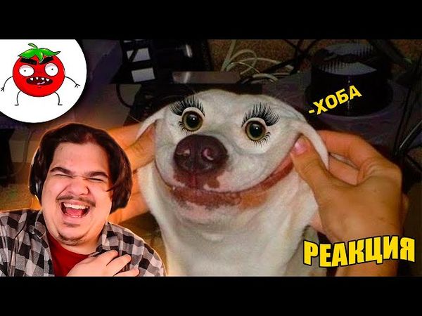 ▷ ЗАСМЕЯЛСЯ ПОДПИСАЛСЯ | ТЕСТ НА ПСИХИКУ ЧЕЛЕНДЖ | ПОДБОРКА СВЕЖИХ ПРИКОЛОВ | РЕАКЦИЯ