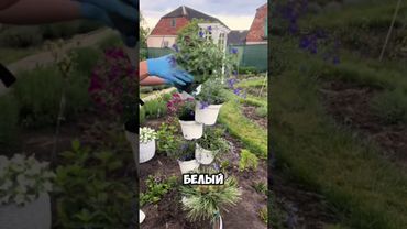 Клумба своими руками