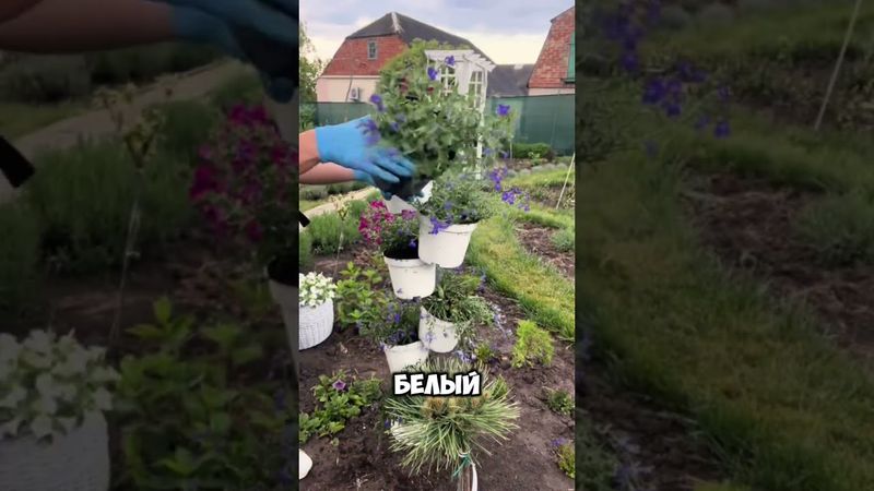 Клумба своими руками