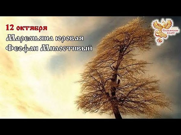 12-е октября. Братья месяцы . Маремьяна юровая, Феофан Милостивый