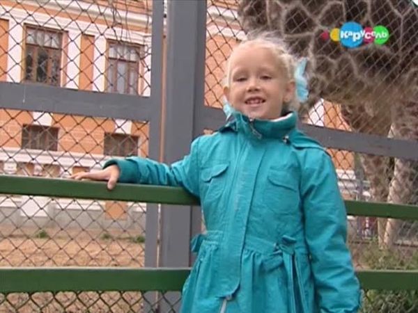 Жизнь замечательных зверей. Гостиница для собак. Минипиг. Жираф | Телеканал Карусель