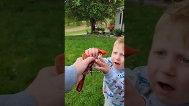 Parrot Core🦜🦜#parrot #petvideos #funny #animallife #funnyanimal