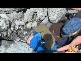 Alaska hiker rescued from under 700lb boulder in frigid creek
