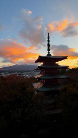 1 Minute of Japan 🇯🇵 Japan is one of the most incredible countries in...