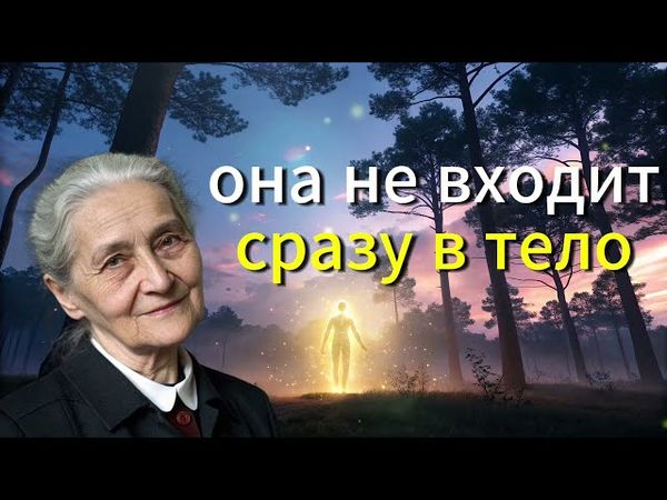 Как ВАША Душа ИЗБИРАЕТ Тело и Судьбу ДО ПОЯВЛЕНИЯ / ЖИЗНЬ ДО ПОЯВЛЕНИЯ