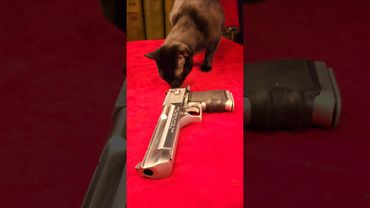 Desert Eagle 50ae Disassembly Reassembly