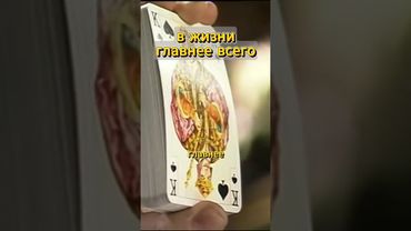 в жизни главнее короля никого нет⁉️🤴