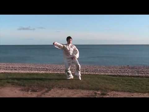 Chen Style 18 Short Form