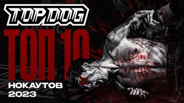 ТОП 10 НОКАУТОВ В TOP DOG | 2023