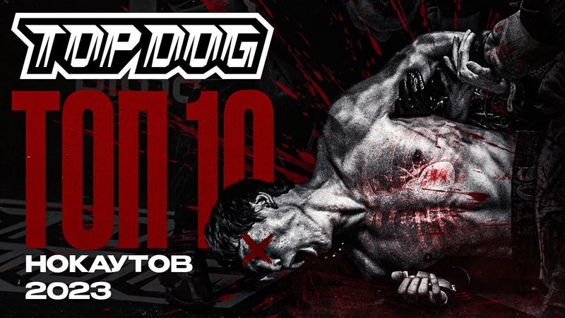 ТОП 10 НОКАУТОВ В TOP DOG | 2023