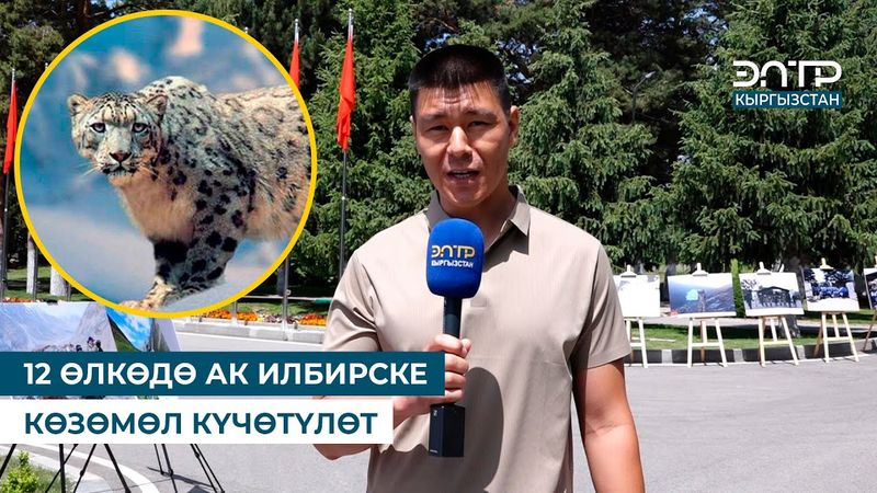 12 ӨЛКӨДӨ АК ИЛБИРСКЕ КӨЗӨМӨЛ КҮЧӨТҮЛӨТ