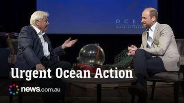 Protecting our oceans: Attenborough & Prince William say urgent action needed