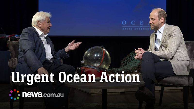 Protecting our oceans: Attenborough & Prince William say urgent action needed