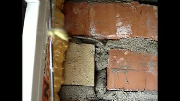 Полёт осы замедленная съемка / Flight of the wasp slow motion