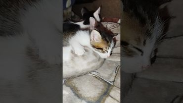 Тихий час...)