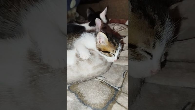 Тихий час...)