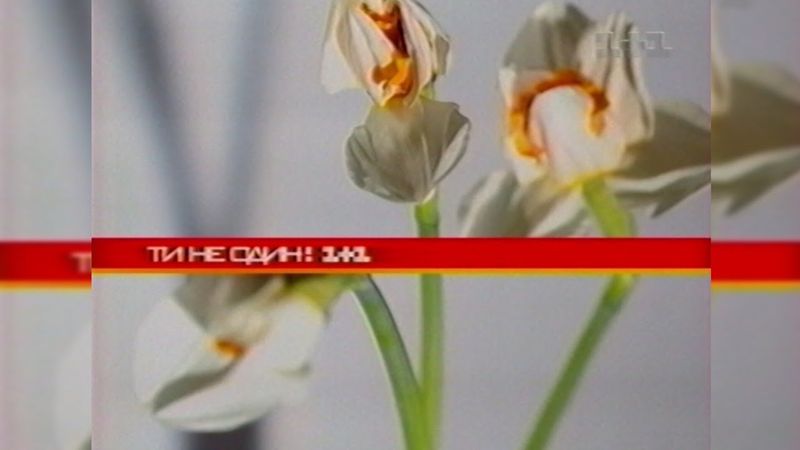 1+1, Анонси [09.07.2006]