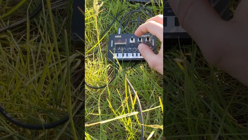Sound experiments in nature🍄 #nts1 #korg #Analogmusic #experimentalmusic #ukraine