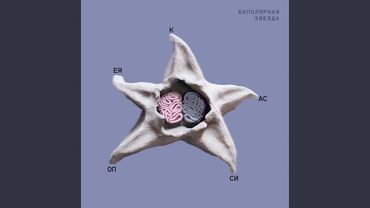 Биполярная звезда