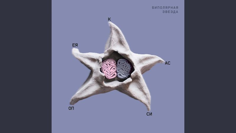 Биполярная звезда