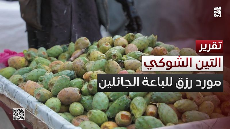 التين الشوكي.. فاكهة موسمية ومورد رزق للباعة المتجولين