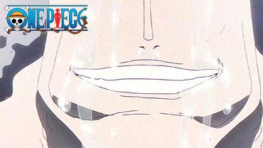 Kuma's Cherished Memories | ONE PIECE