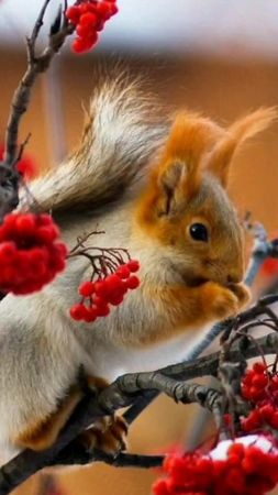 TikTok video #7030092168140279041