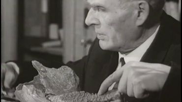 Российская академическая археология готовится к празднованию векового юбилея