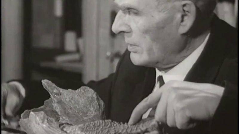 Российская академическая археология готовится к празднованию векового юбилея