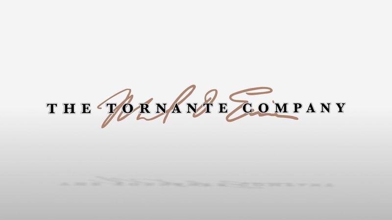 The Tornate Company/Boxer vs. Raptor/ShadowMachine/Netflix (2014)