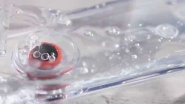 Nespresso Lattissima Touch-  Descaling